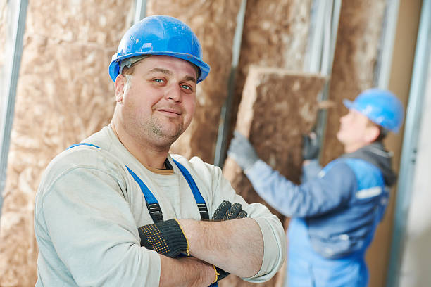 Best Residential Insulation in Reed City, MI