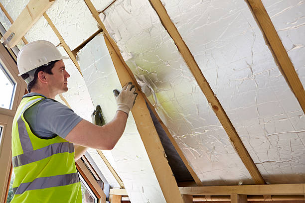Best Insulation Installation Services in Reed City, MI