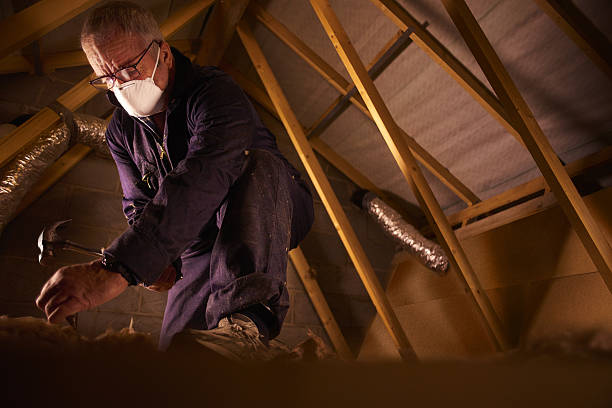 Best Commercial Insulation in Reed City, MI